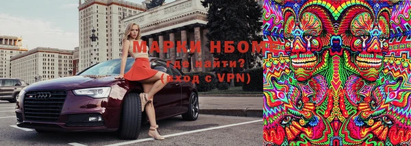 ешки Аркадак