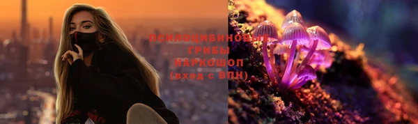 ПСИЛОЦИБИНОВЫЕ ГРИБЫ Армянск