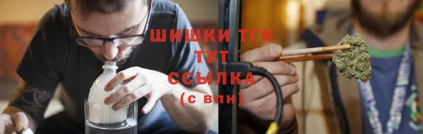 ешки Аркадак