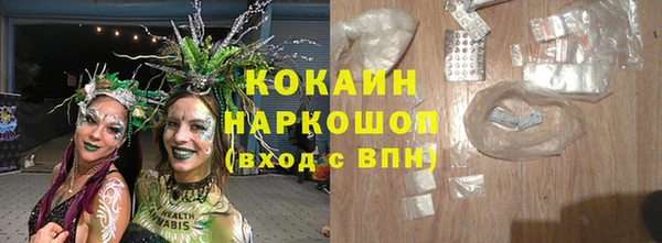 ешки Аркадак