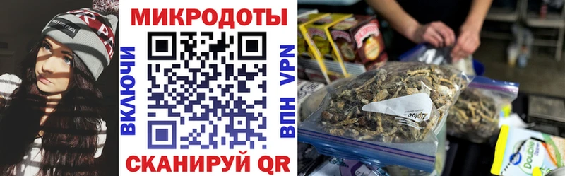 Купить где  Урюпинск  Галлюциногенные грибы Psilocybe 