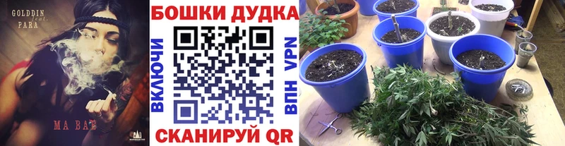 Конопля SATIVA & INDICA  Купить где  Урюпинск 